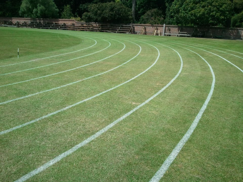 grass track